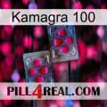 Kamagra 100 15